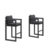 PURPLE LEAF Caesar Bar Stools Modern Aluminum Barstools with Stainless Removable Cushion for Kitchen Outside Island Backyard