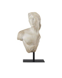 Young Royal Greek Torso