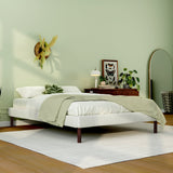 Bailey Upholstered Platform Bed