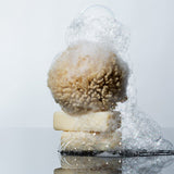 Bar Soap