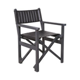 Leather Director's Chair