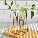 Test Tube Glass Flower Vase For Plant Propagation