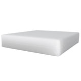 Bargoose Heavy Duty Vinyl Mattress Encasements: Bed Bug Proof & Waterproof Protection