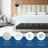 Bargoose Heavy Duty Vinyl Mattress Encasements: Bed Bug Proof & Waterproof Protection