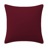 Velvet Pillow Cover (Set of 1)