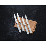 EcoCut 4 Piece Steak Knife Set, Grey