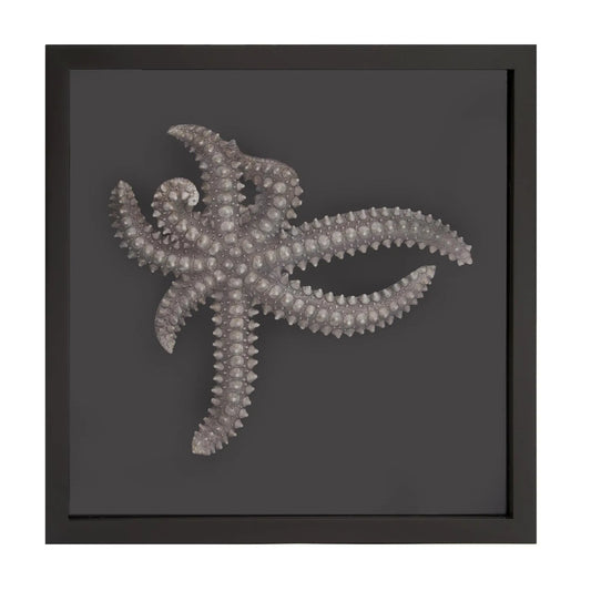 Star Fish Framed Art