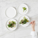 Modern Coupe Salad Plate 8"
