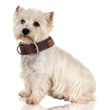 Jabulani Beaded Leather 14" Dog Collar - Mountain Stream