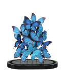 Rue de Bac Blue Medium Butterflies
