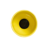 Holland Daffodil Short Vase