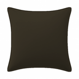 Velvet Pillow Cover (Set of 1)