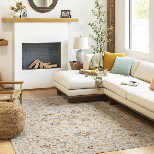 Coromandel Oushak Area Rug