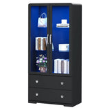 64'' Tall Display Cabinet with Acrylic Doors and Led Lights