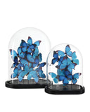 Rue de Bac Blue Large Butterflies