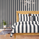 400TC Stripe Border Frame Cotton Sateen Duvet Cover Set