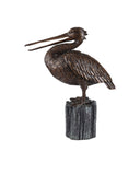 Pelican Bronze
