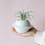Planet Ceramic Plant Pot Decorative Planter
