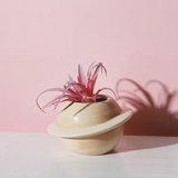 Planet Ceramic Plant Pot Decorative Planter