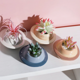 Planet Ceramic Plant Pot Decorative Planter