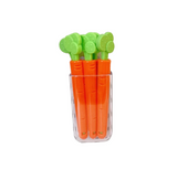 Carrot Food Bag Clips Set of 5