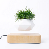 Levitating Magnetic Floating Planter Pot