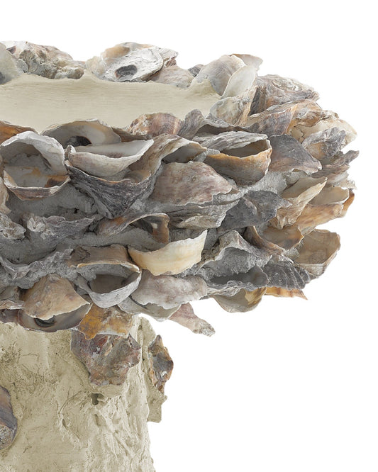 Oyster Shell Small Bird Bath