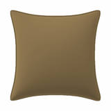 Velvet Pillow Cover (Set of 1)