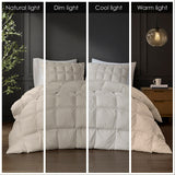Puffed Overfilled Down Alternative Comforter, Tan