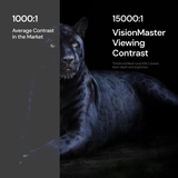 Long-Throw 4K RGB Triple Laser Projector Valerion VisionMaster Pro 2