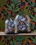 Rue de Bac Lilac Large Butterflies