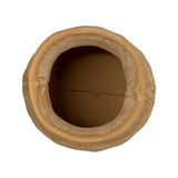 Mustard Seed Pot