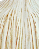 Small White Garlic Bulb
