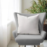 Pillow 20 x 20 Pana Natural - Down Alternative Insert