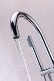 Coral Series 2-Handle Freestanding Tub Faucet with 60 in. Euro-Grip Hand Sprayer