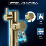 Coral Series 2-Handle Freestanding Tub Faucet with 60 in. Euro-Grip Hand Sprayer