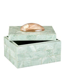 Fiona Box