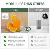 Electric Citrus Juicer, 90W Automatic Juice Squeezer