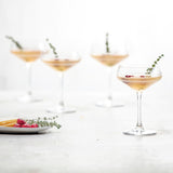 Crafthouse By Fortessa® The Signature Collection Coupe Cocktail (88) 8.8oz
