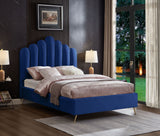 Lily - Bed