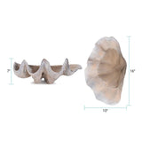 Large Vongole