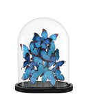 Rue de Bac Blue Large Butterflies