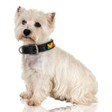 Jabulani Beaded Leather 14" Dog Collar - Pop Art