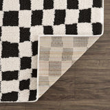 Lajos Black & White Checkered Plush Rug