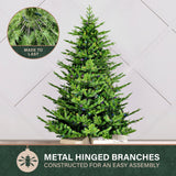 7.5-Ft. Foxtail Pine Christmas Tree