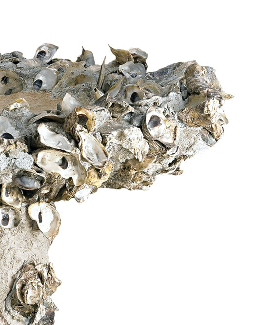 Oyster Shell Large Bird Bath