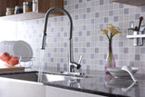 Apollo Single Handle Pull-Down Sprayer Kitchen Faucet in Polished Chrome