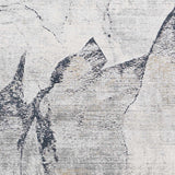 Gasquet Gray Marble Textured Luxe Rug