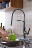 Accent Single Handle Pull-Down Sprayer Kitchen Faucet