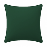 Velvet Pillow Cover (Set of 1)
